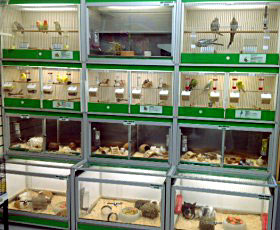 The Pet Centre