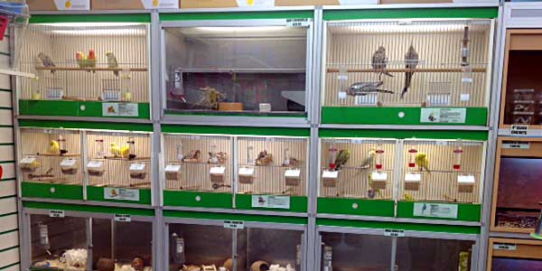 The Pet Centre The Pet Centre