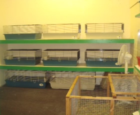 The Pet Centre