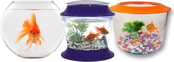 Aquatics Aquatics